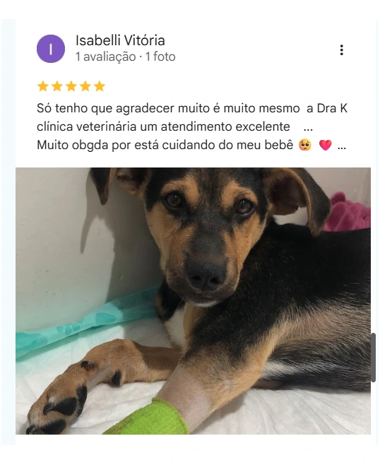 Avaliação real de tutor no Google