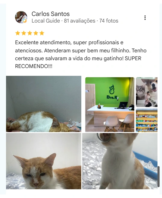 Avaliação real de tutor no Google