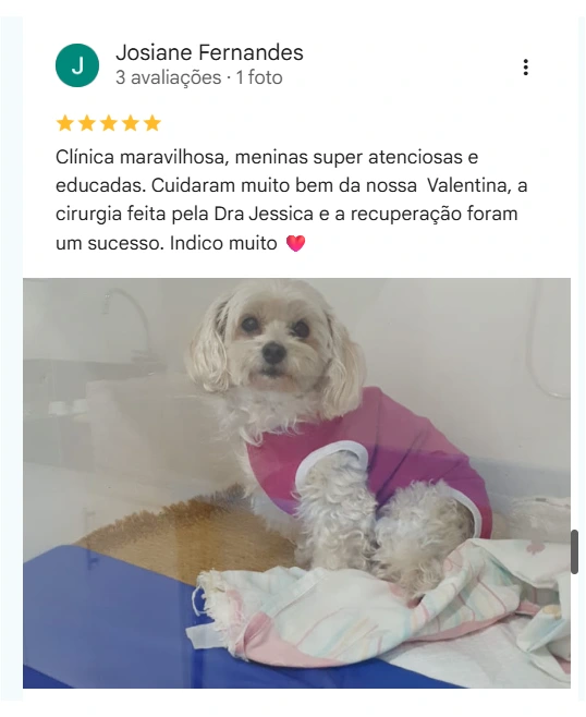 Avaliação real de tutor no Google