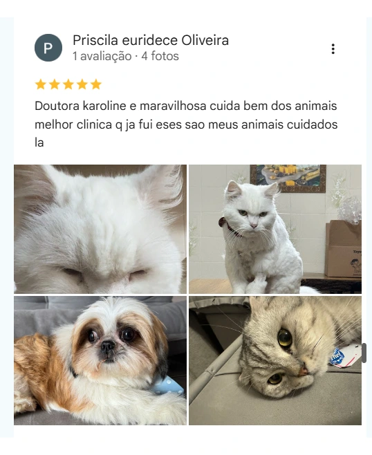 Avaliação real de tutor no Google