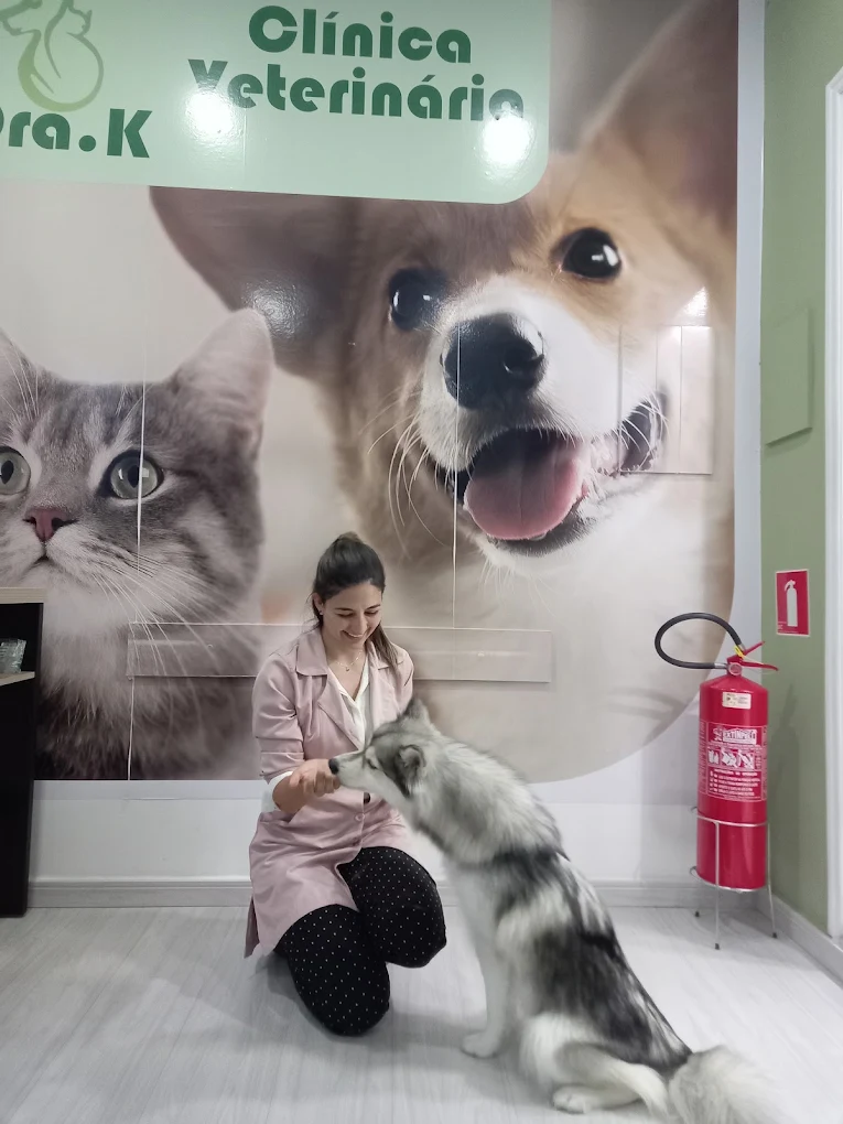 Veterinária da Dra. K recebendo um cão na recepção da clínica
